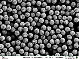 东纳生物成为基蛋生物科技有限公司优质合作伙伴