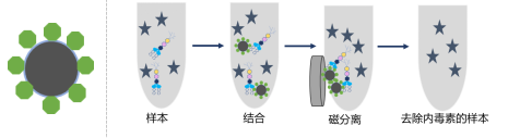 新品推荐│MagBeads®内毒素去除磁珠 新品推荐│MagBeads®内毒素去除磁珠