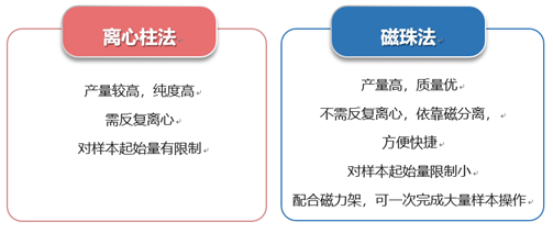 质粒提取与纯化 — 我们不一样