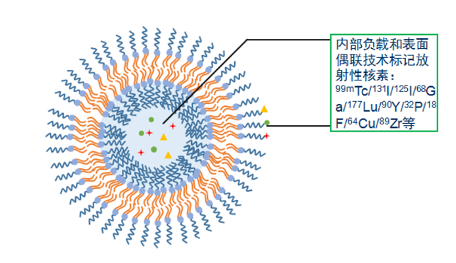 东纳生物隆重推出 | 基于「核素标记与成像」的纳米医学服务平台