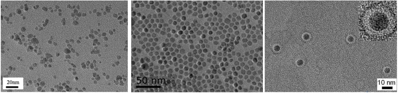 NanoEast全系列微纳米材料，助力生命科学创新与医学应用