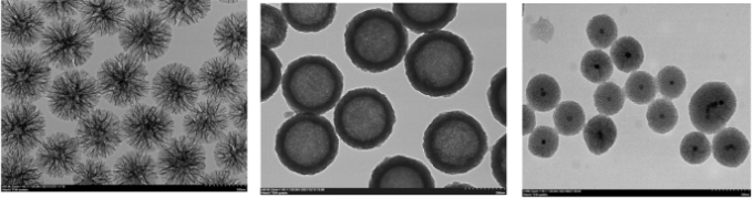 NanoEast全系列微纳米材料，助力生命科学创新与医学应用