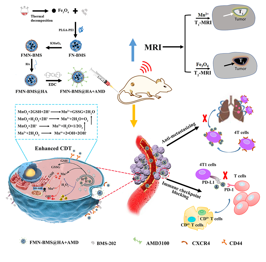 Nanotoday：多功能纳米平台实现影像指导化学动力治疗-CXCR4拮抗-PD-L1阻断协同治疗乳腺癌