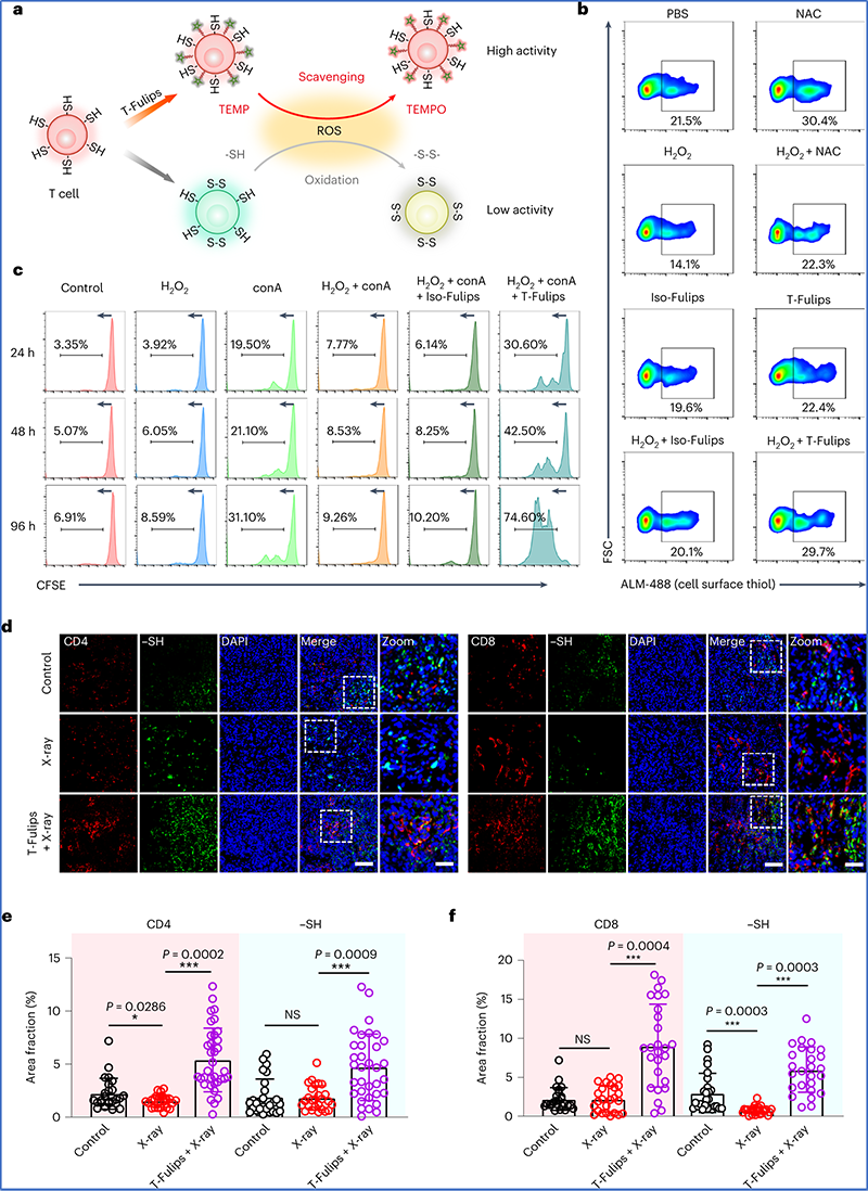 Nat Nanotechnol: 新型脂质体可视化调控T细胞活性与肿瘤治疗