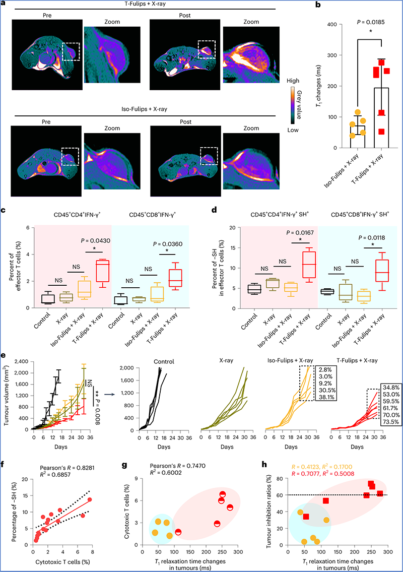 Nat Nanotechnol: 新型脂质体可视化调控T细胞活性与肿瘤治疗