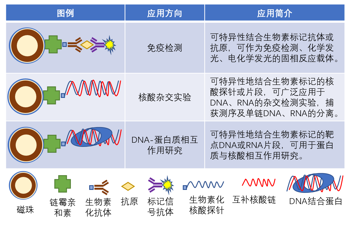 小粒径链霉亲和素磁珠推出特惠体验装