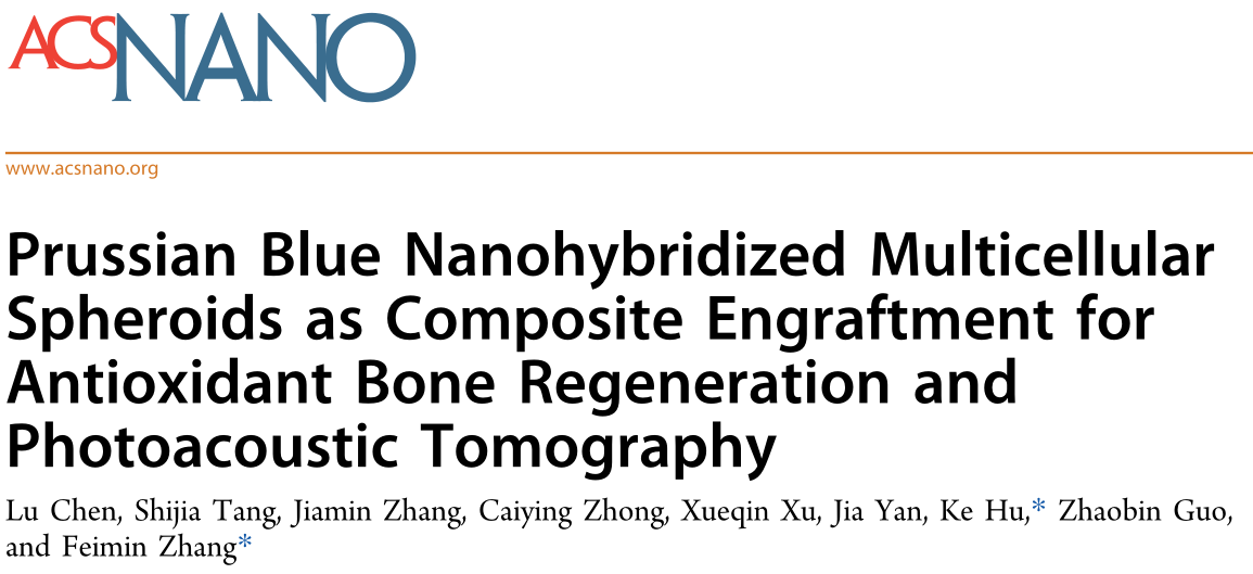 普鲁士蓝纳米杂化多细胞球作为复合植入物用于抗氧化骨再生和光声成像