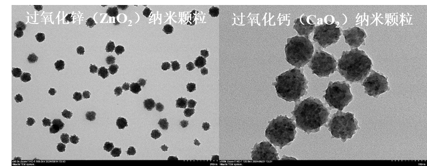 新品推荐│金属过氧化物